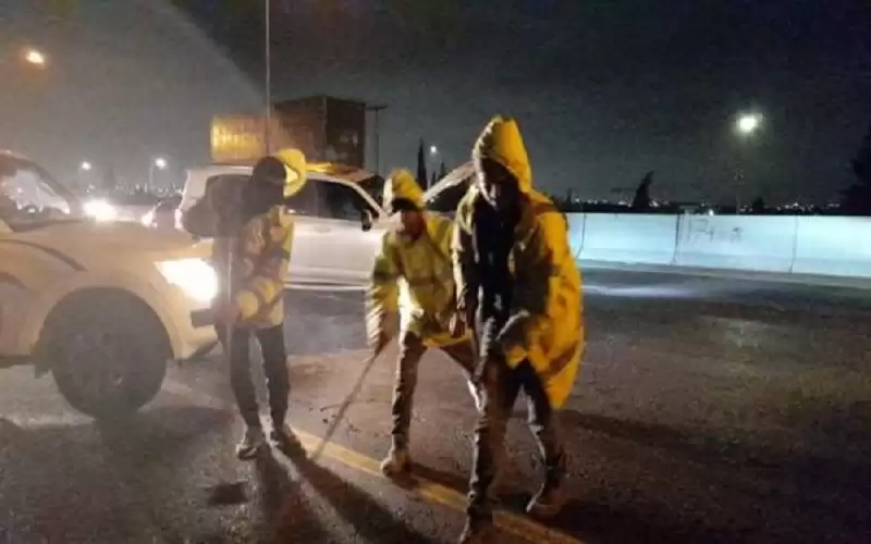 بلدية الجيزة تتعامل مع 82 بلاغا