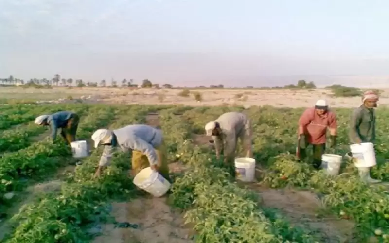 مطالبة بإعفاء المزارعين من فوائد القروض