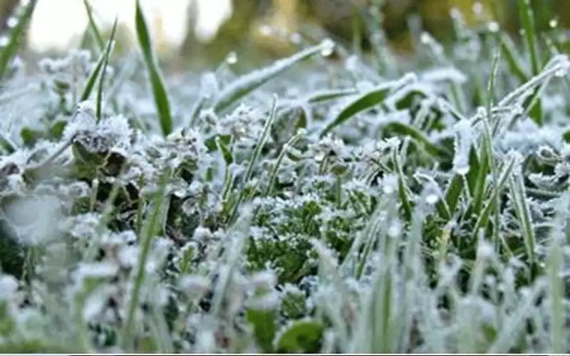 الأحد .. انخفاض على الحرارة وتحذير