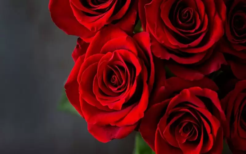 ارتفاع الطلب على الزهور أدى إلى