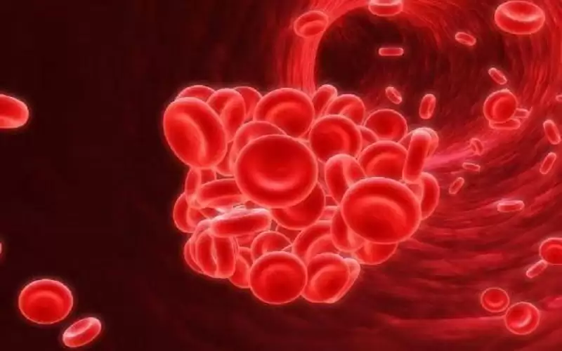 تناول هذه الأطعمة باستمرار.. لعلاج فقر