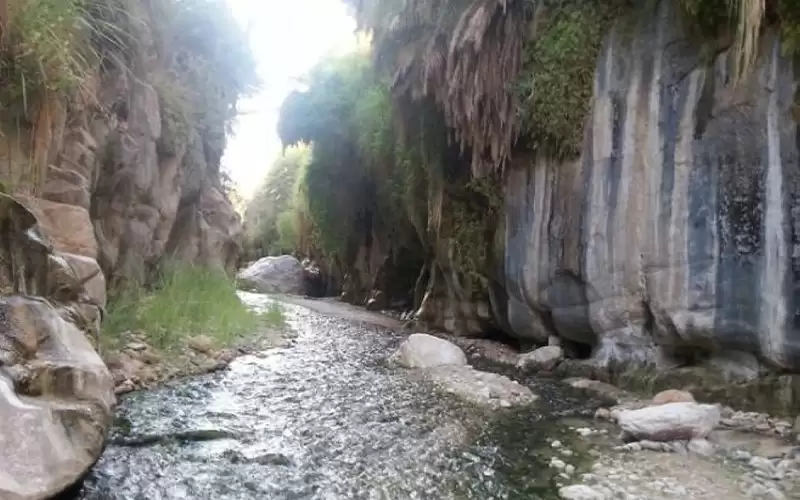 الكرك: حمامات وادي ابن حماد طبيعة
