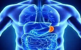 ثلث البالغين الأوروبيين لا يمارسون نشاطا