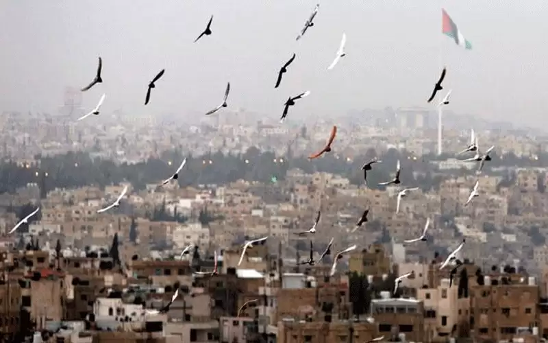 طقس مشمس والحرارة أعلى من معدلاتها