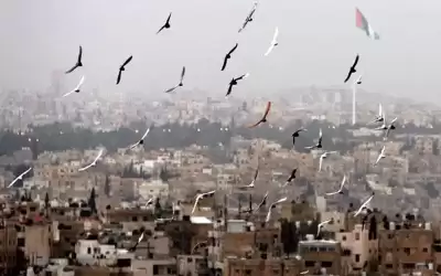 طقس مشمس والحرارة أعلى من معدلاتها