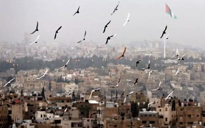 طقس مشمس ودرجات الحرارة أعلى من