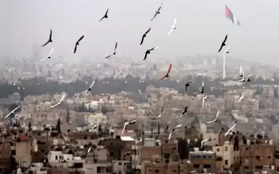 طقس مشمس ودرجات الحرارة أعلى من