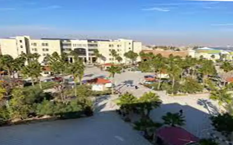 استحداث تخصصات وبرامج عصرية موائمة لسوق