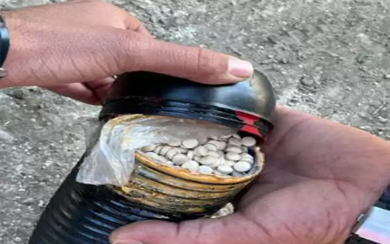 القبض على 5 تجار مخدرات واحباط