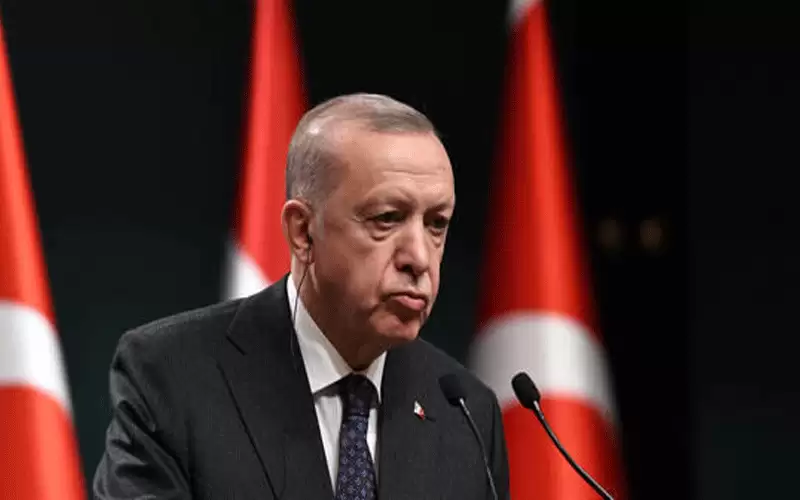 اردوغان: القرى المدمرة ستبنى خلال عام