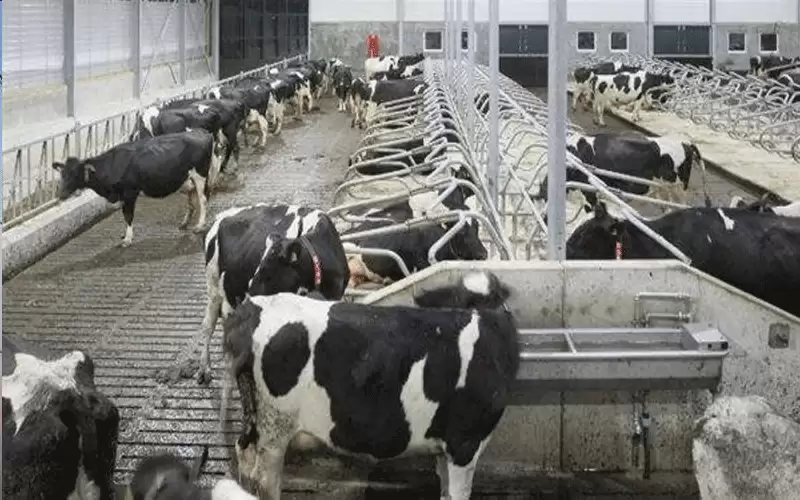 توقيف 7 اشخاص أسبوعا لتداولهم لحوم