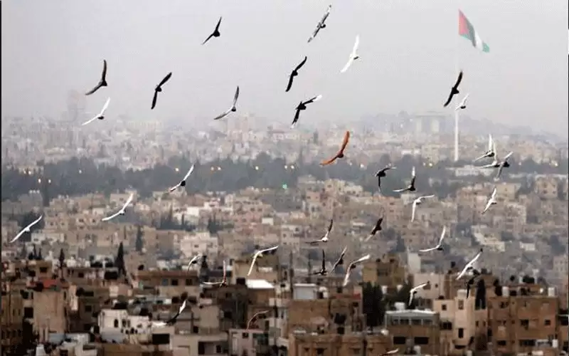 طقس مشمس والحرارة أعلى من معدلاتها