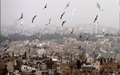 طقس مشمس والحرارة أعلى من معدلاتها