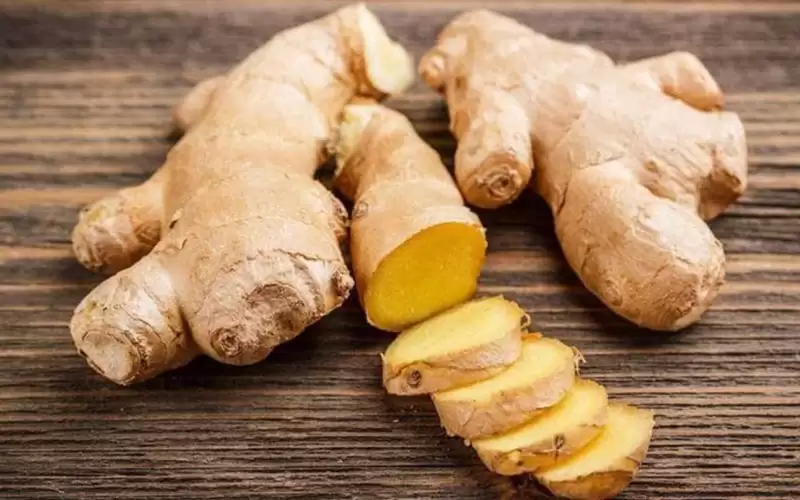 الزنجبيل ينشط خلايا المناعة
