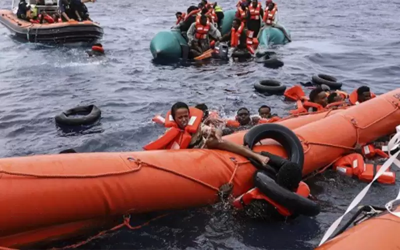 لماذا لا يخسر حيتان الكريبتو رغم