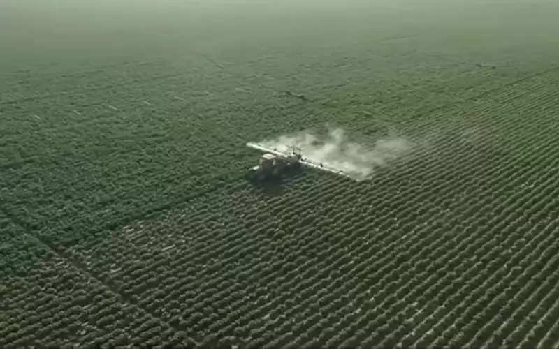 الجيش المصري يكشف عن مشروعات ضخمة