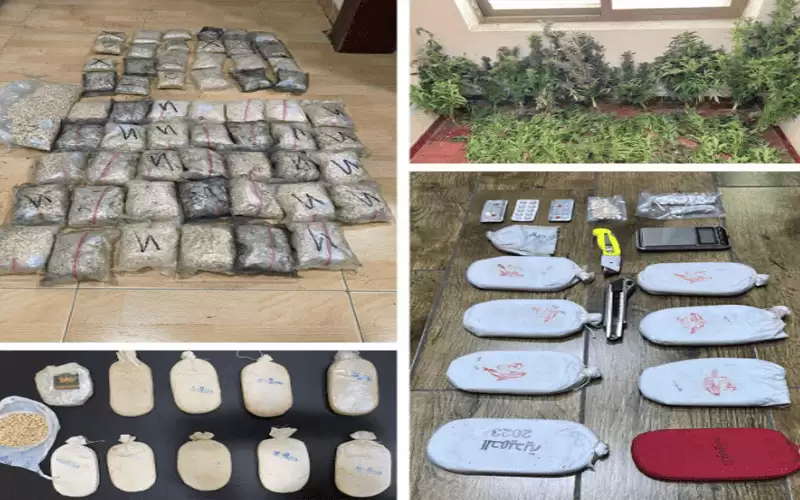 ضبط 12 مروجا للمخدرات في الأردن