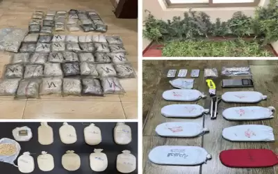 ضبط 12 مروجا للمخدرات في الأردن