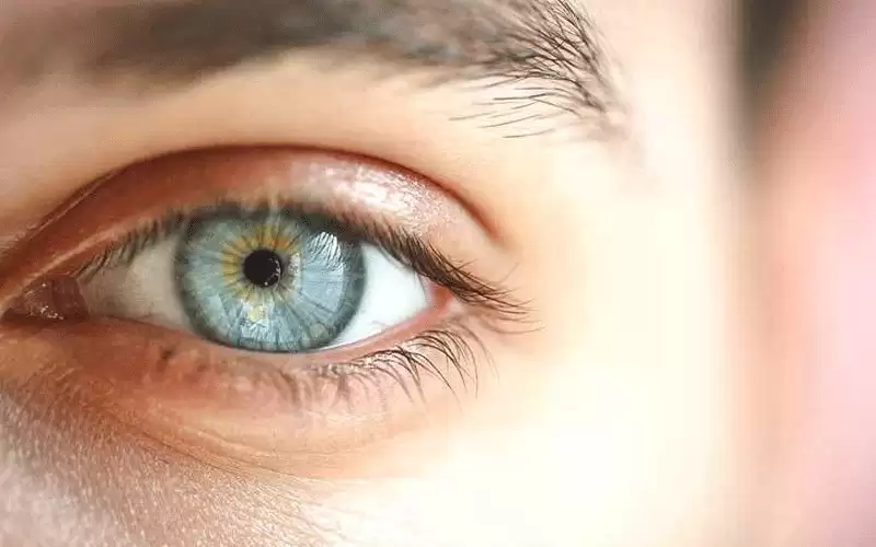 فاكهة غير متوقعة تحافظ على صحة