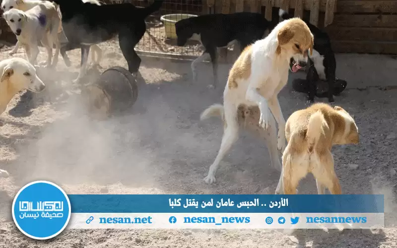 الأردن .. الحبس عامان لمن يقتل