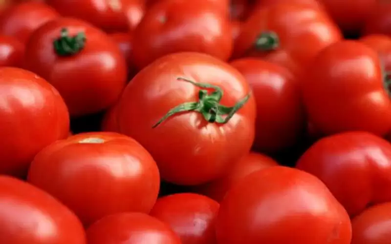 ارتفاع سعر بيع البصل والبندورة في