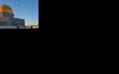 شرطة الاحتلال تقتحم المصلى القبلي بالأقصى