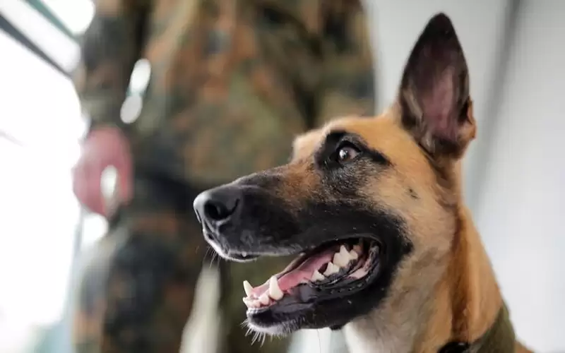 شكوى بحق بلدية إربد إثر قتل