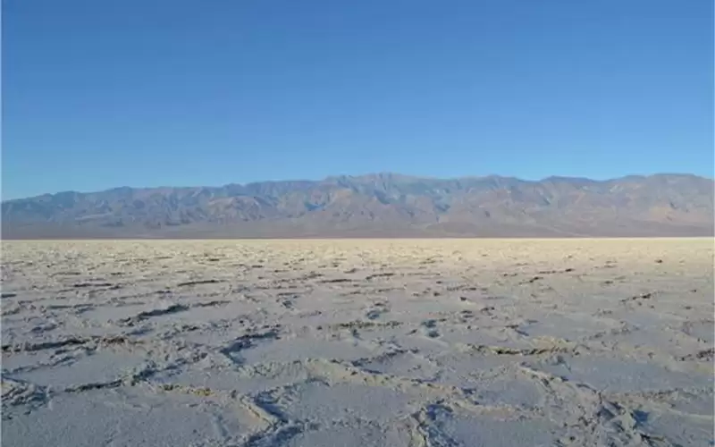 علماء يحلون لغز أنماط قرص العسل