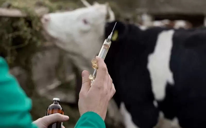 إيقاف 9 اشخاص باعوا لحوما مصابة