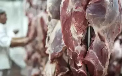 حكومة الخصاونة: إيقاف استيراد لحوم الأبقار