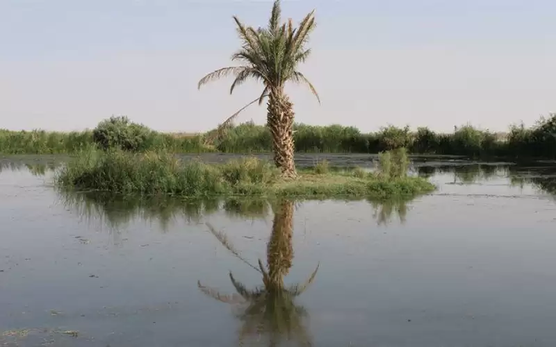 إعلان محمية الأزرق متنزها عالميا للسلام