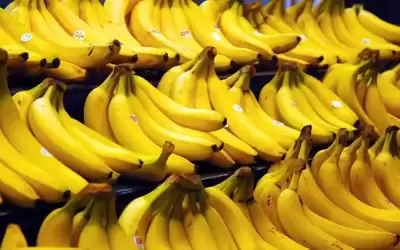 حماية المستهلك تدعو للسماح بزيادة استيراد
