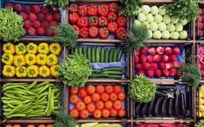استقرار أسعار الخضار محليا اليوم