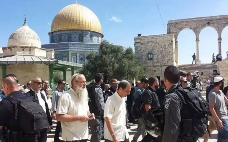 عشرات المستوطنين المتطرفين يقتحمون باحات المسجد