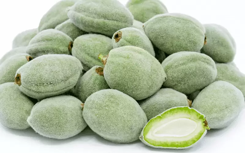 الأردن .. كلغم اللوز الأخضر ب