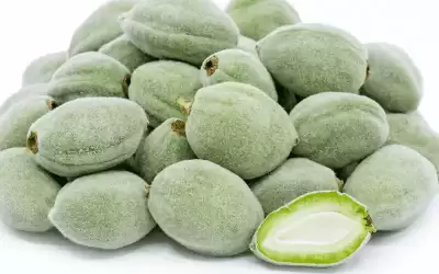 الأردن .. كلغم اللوز الأخضر ب