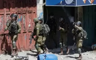 فلسطين .. 74 شهيدا بينهم 13