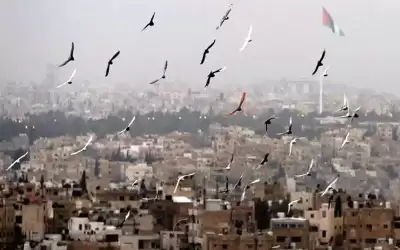 أجواء مشمسة ولطيفة نهارا وباردة ليلا