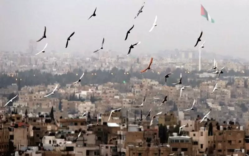 الأردن.. أجواء لطيفة في أغلب المناطق