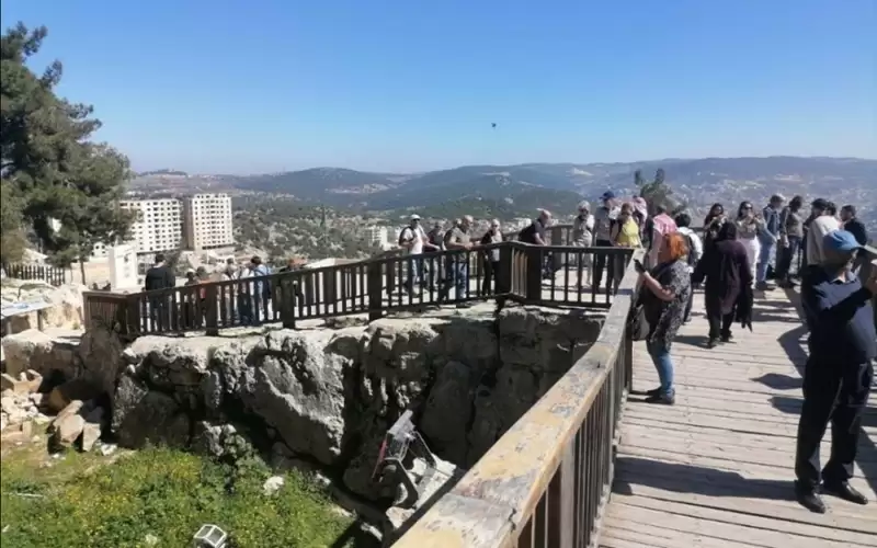 عجلون: البساط الأخضر ينشط الحركة السياحية