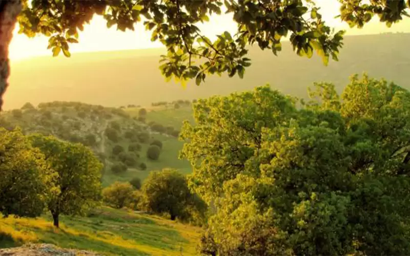 أكثر من 3 آلاف مشارك في