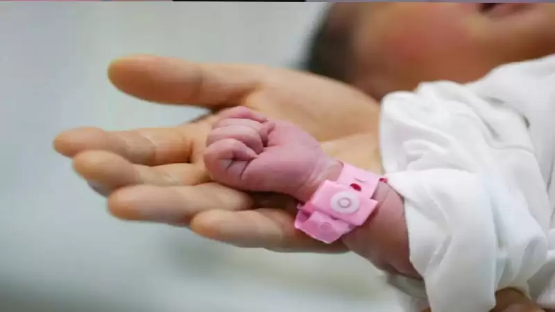 الزملاء عبدالرحمن سلامة وآلاء السويطي يرزقان