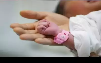 الزملاء عبدالرحمن سلامة وآلاء السويطي يرزقان