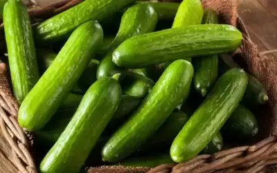 انخفاض أسعار أصناف من الخضار اليوم