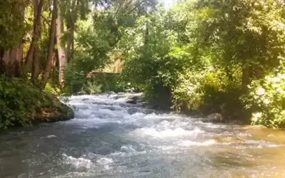 وزير المياه: إسرائيل التزمت بكميات المياه
