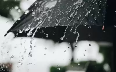 الأرصاد: طقس معتدل اليوم وغدا وأمطار