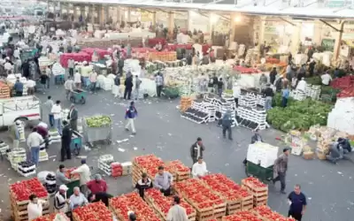 ارتفاع سعر الخيار 20 قرشا