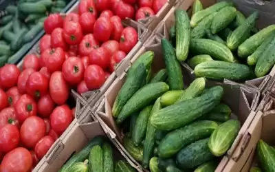 لماذا سترتفع أسعار الخضار في أول