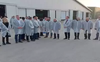 الحنيفات يؤكد أهمية استمرارية انسياب الأغنام