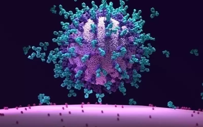 نزلات البرد تحمي الأطفال من كورونا